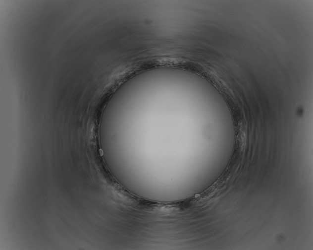 X0000094900619200711291024
