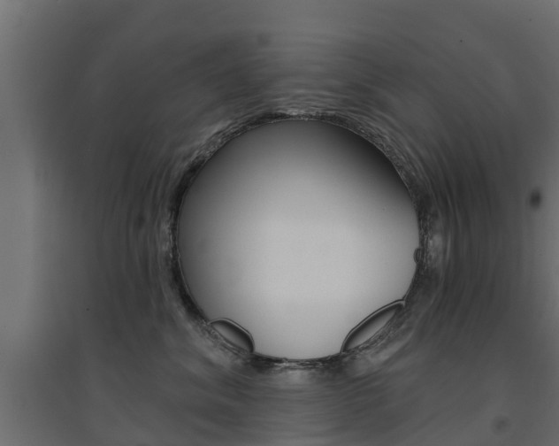 X0000094900620200711291024