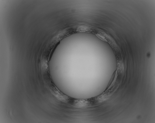X0000094900621200711291024