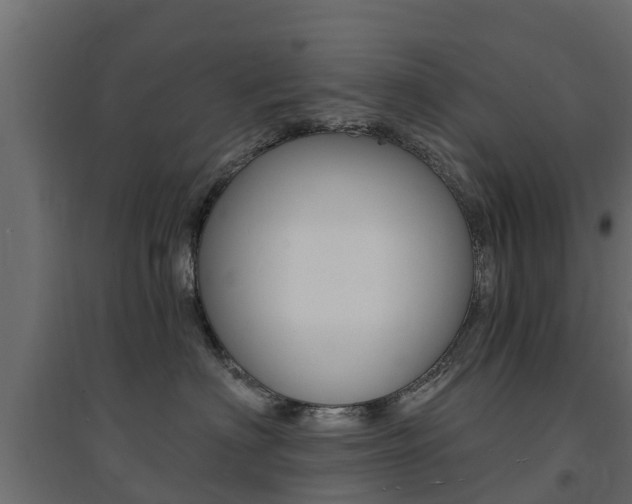 X0000094900622200711291024