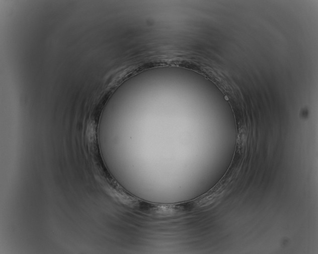 X0000094900623200711291024