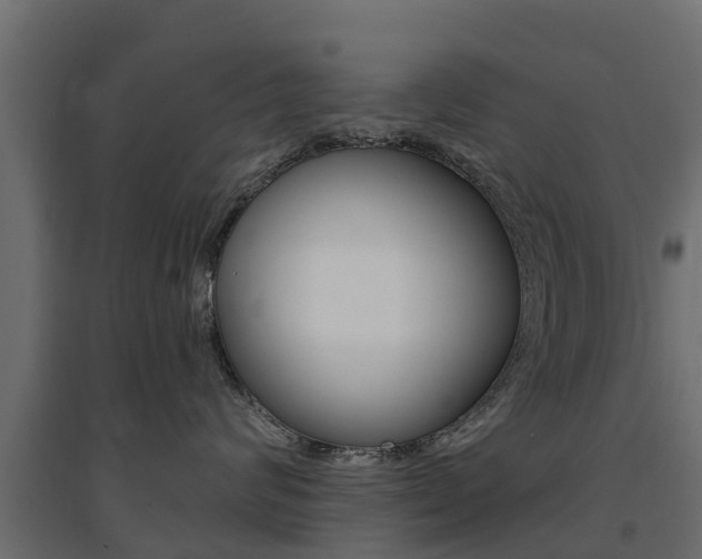 X0000094900624200711291024