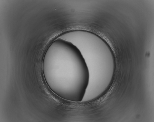 X0000094900625200711291023