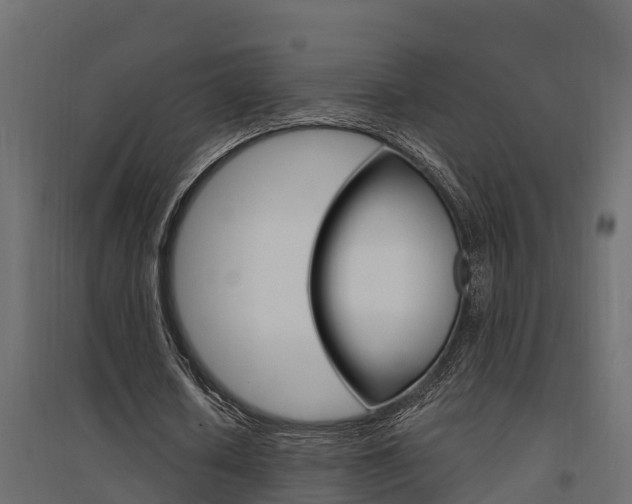 X0000094900626200711291023