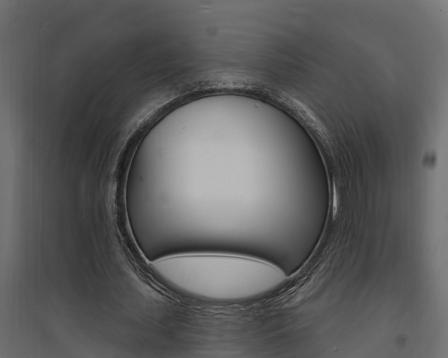 X0000094900627200711291023