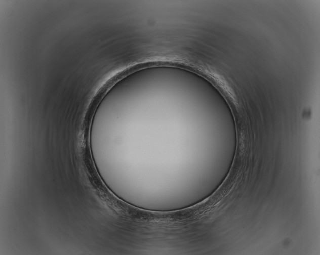 X0000094900628200711291023