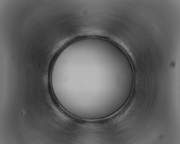 X0000094900629200711291023