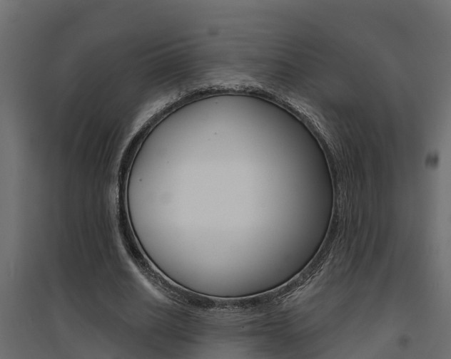 X0000094900630200711291023