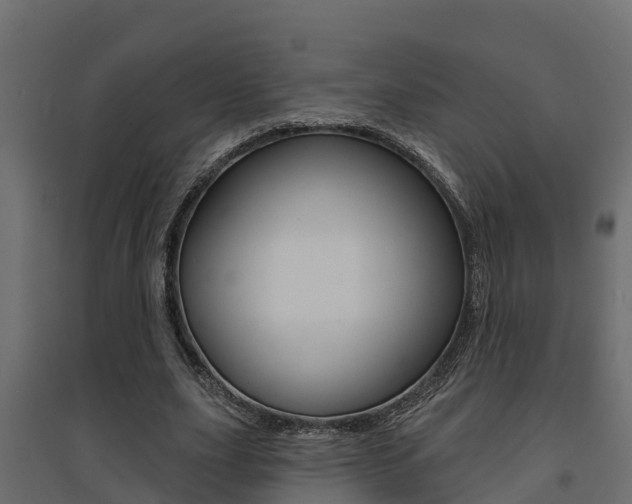 X0000094900631200711291023