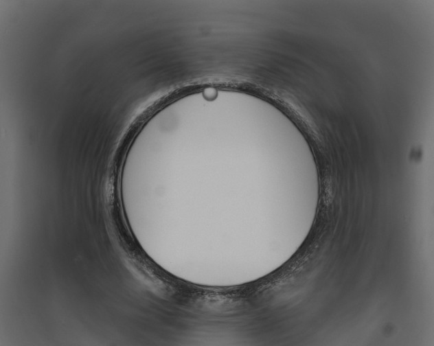 X0000094900632200711291023