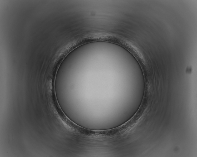 X0000094900633200711291023