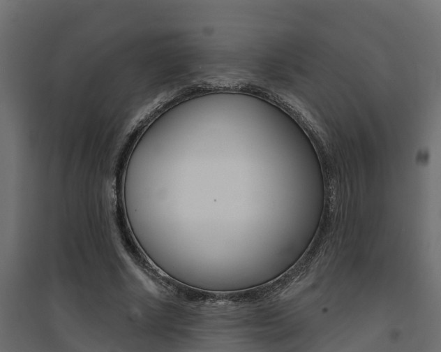 X0000094900634200711291023