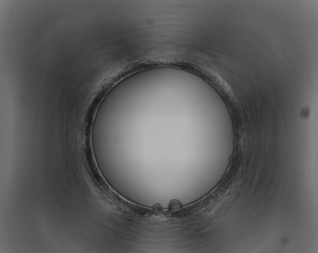 X0000094900635200711291023