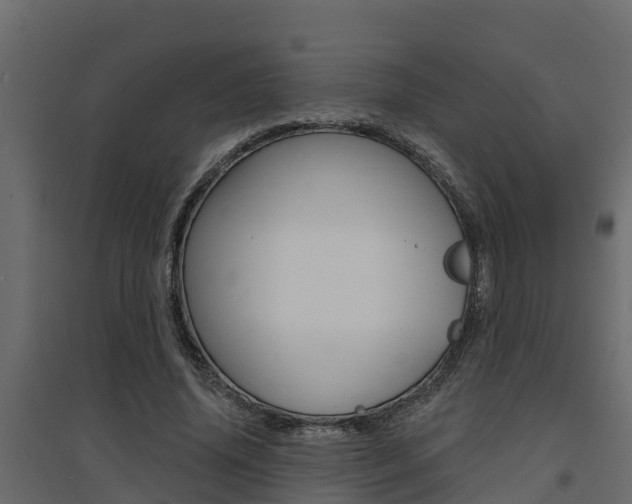 X0000094900636200711291023
