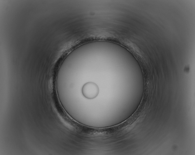 X0000094900638200711291023