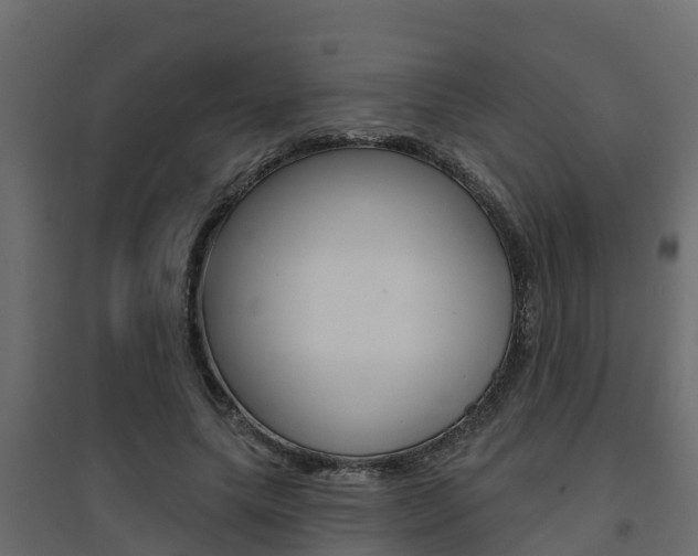 X0000094900639200711291023