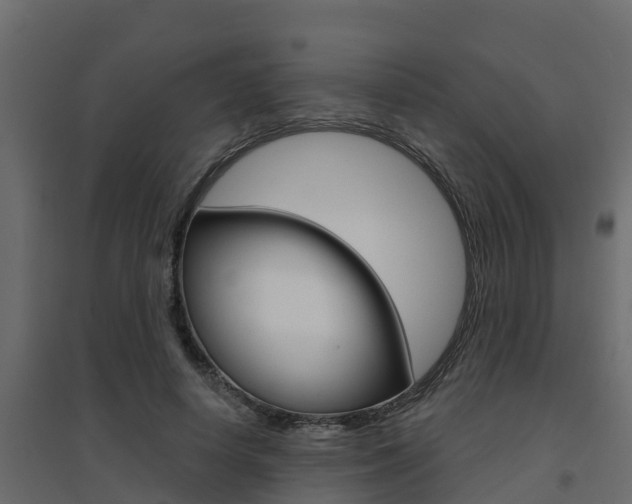 X0000094900642200711291023