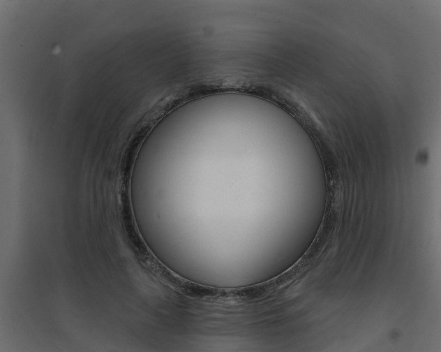 X0000094900643200711291023