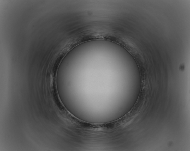 X0000094900646200711291023