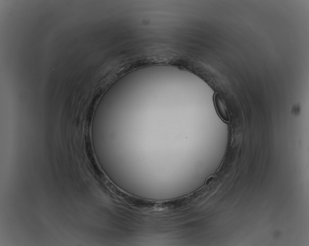 X0000094900647200711291023