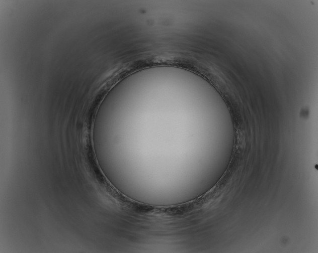 X0000094900648200711291023