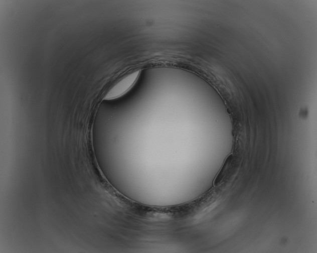 X0000094900649200711291023