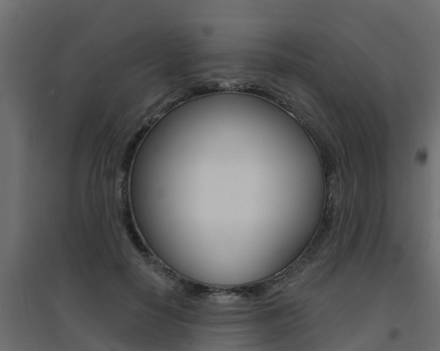 X0000094900650200711291023
