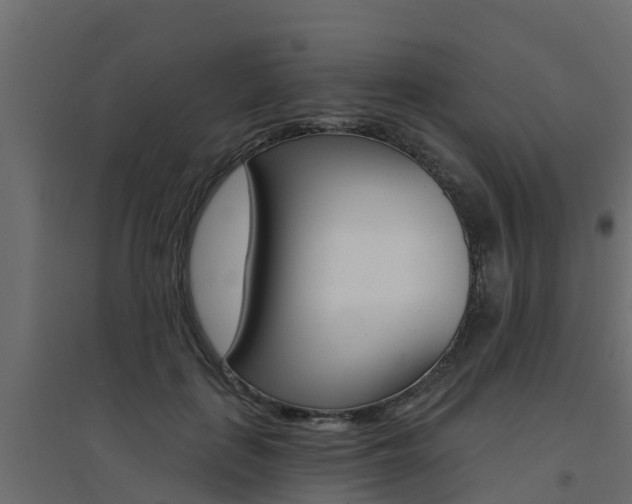 X0000094900651200711291024