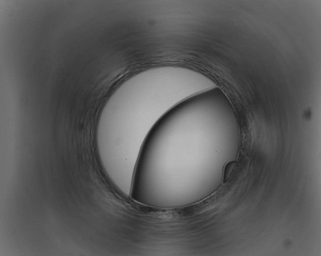 X0000094900652200711291024