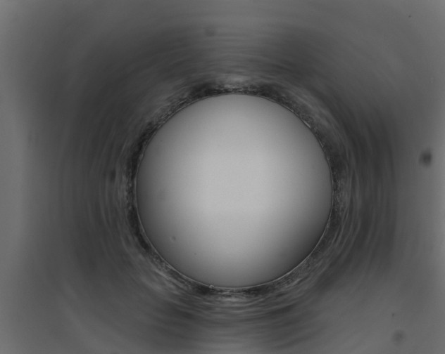 X0000094900653200711291024