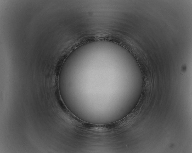 X0000094900654200711291024