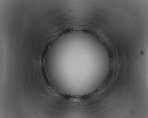 X0000094900655200711291024