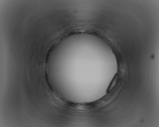 X0000094900657200711291024