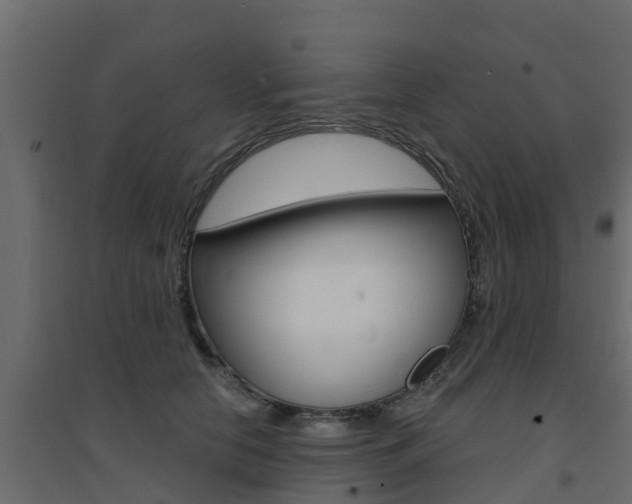 X0000094900658200711291024