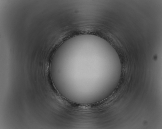 X0000094900660200711291024