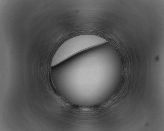 X0000094900662200711291024