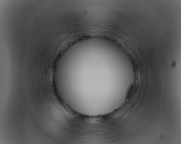 X0000094900664200711291024