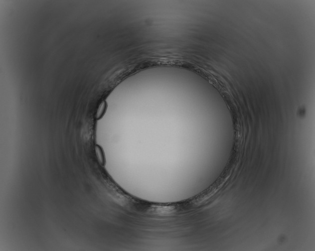 X0000094900665200711291024