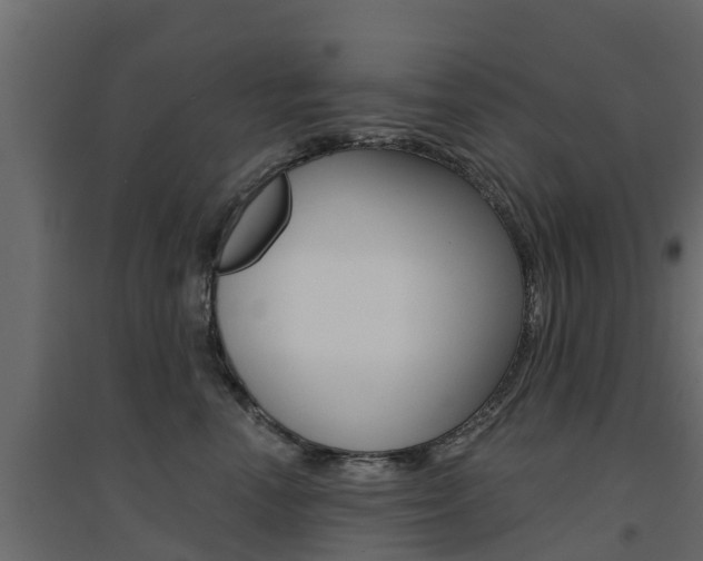 X0000094900666200711291024