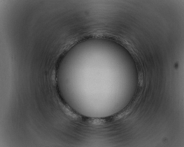 X0000094900670200711291024