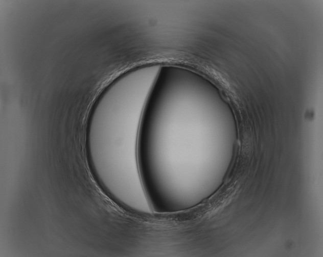 X0000094900673200711291023