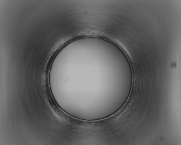 X0000094900674200711291023