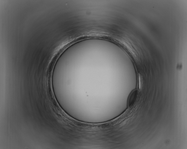 X0000094900675200711291023