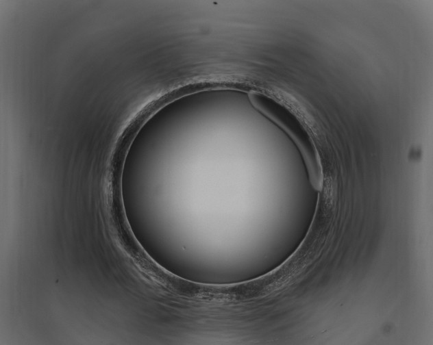 X0000094900676200711291023