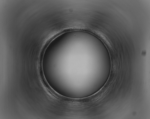 X0000094900677200711291023