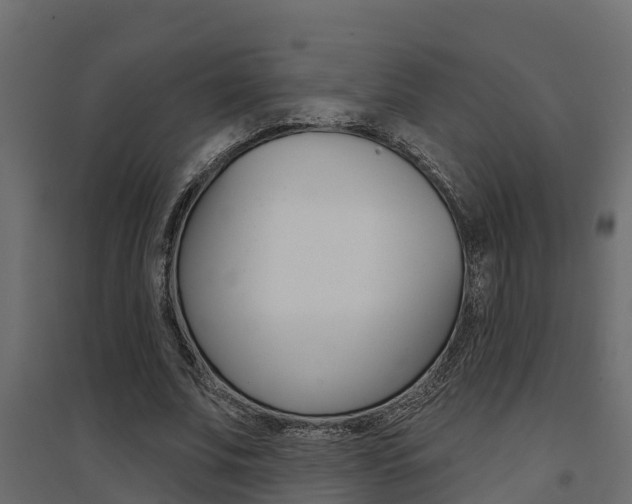 X0000094900679200711291023