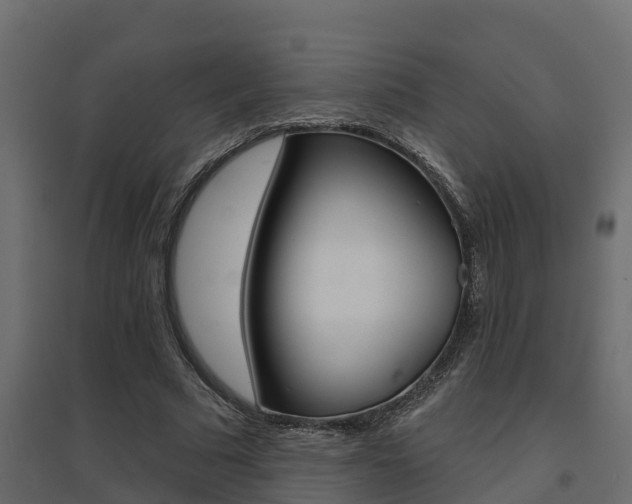 X0000094900681200711291023