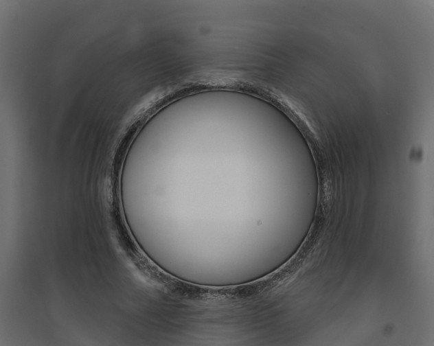 X0000094900682200711291023