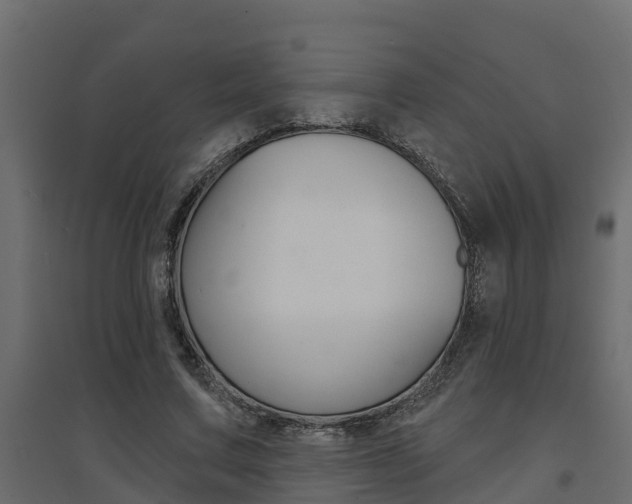 X0000094900683200711291023