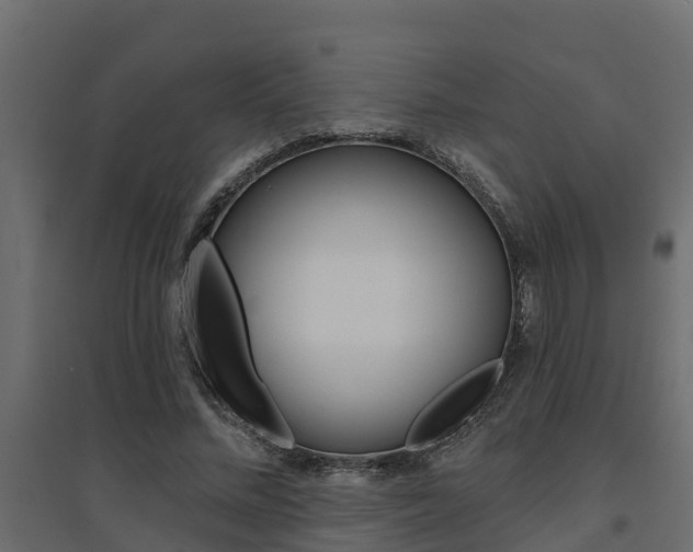 X0000094900684200711291023